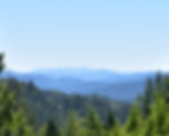 fullsizeoutput_204.jpeg