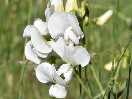 7月4日いつもの一日