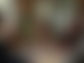 The Role of Non-Profits in Canadian Politics