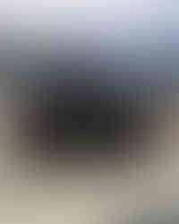GIBV4927-Edit.JPG