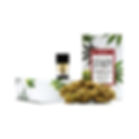 STIIIZY - Premium Jack. Premium THC POD