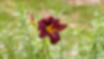DSC01623.JPG