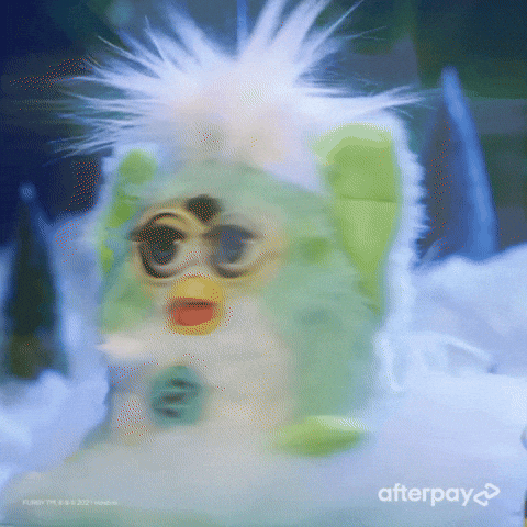 giphy (8).gif