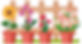 146754515-belle-fleur-dans-le-jardin-sur-fond-blanc-illustration.jpg