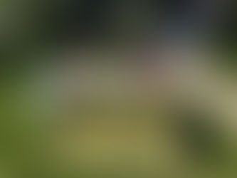 LEMONADE STAND- TOPSFIELD, MA