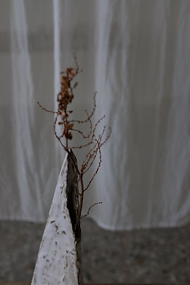 DSCF7138.JPG