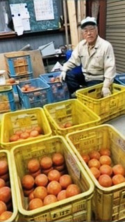 富有柿を寄付してくださった力様