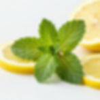Lemon and mints leaves