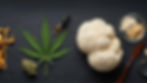 Cannabis leaf and adaptogens on dark slate counter