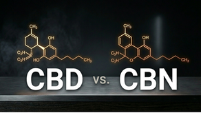 CBD vs CBN with dark background