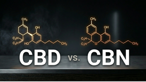 CBD vs CBN with dark background