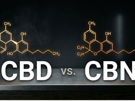 CBD vs CBN with dark background