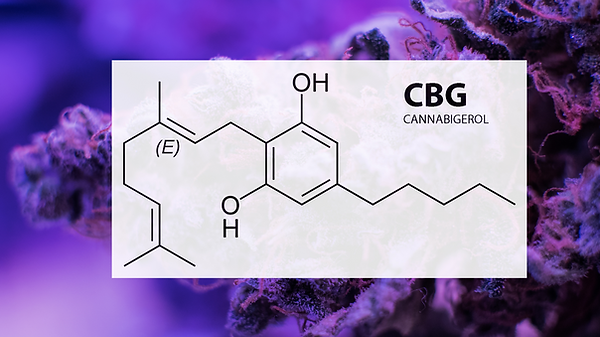 Buy CBG Minnesota