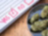 Cannabis & The 2020 Election