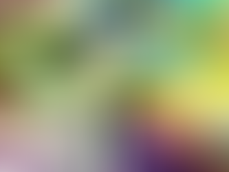 The Top 10 Marijuana Strains of 2021