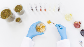 Cannabis terpenes and flower being analyzed in lab