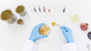 Cannabis terpenes and flower being analyzed in lab