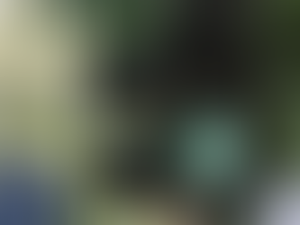 Is Cannabis Legal in My State? 7 States That Could Make the Jump in 2022