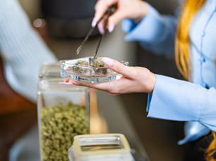 Deli Style Dispensary Bud Tender picking up flower with tongs