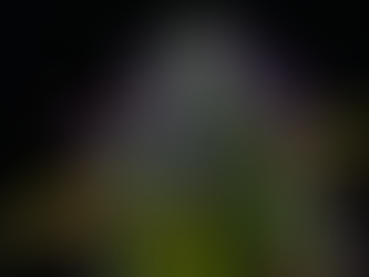 Cannabis All-Stars — The Best Strains of 2023