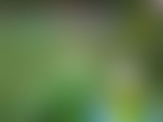 Closeup-of-cannabis-plant-and-oil
