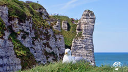 Etretat (10)