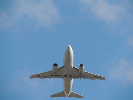 セラピーで人相まで変わりました