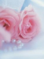 プロのセラピストさんビジネス相談…自分の強みってどうやって発見するの？