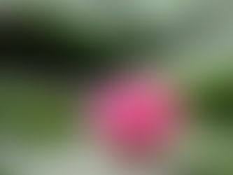 チャネリングを学んだ後に起こる現象