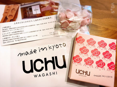 「クリアリングと松果体の活性化セッション」ご感想と自分でできる簡単クリアリング。