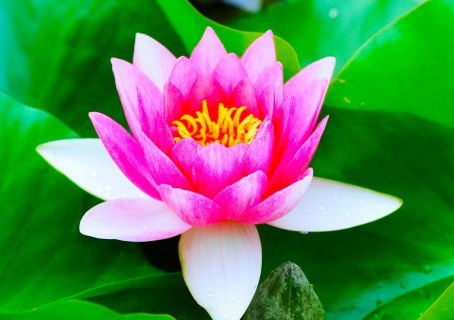 チャネリング講座、あと1日で募集終了します!