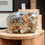 Thumbnail: Camel Bone Decorative Showpiece