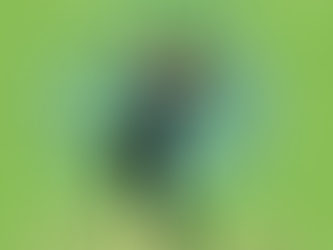 How Political Phone Vendors Try To Cheat You