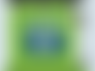 An Inside Look At Telephone Town Halls