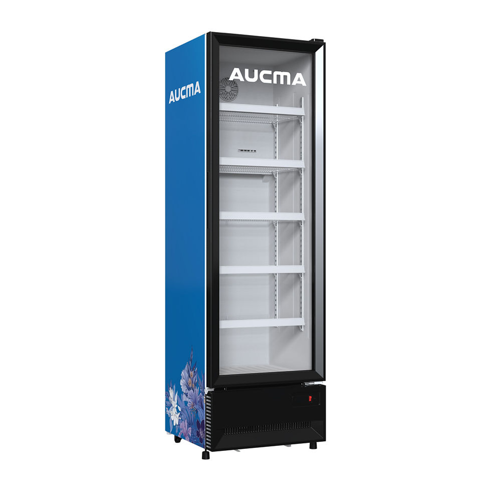 Miniatura: ENFRIADOR AUCMA ACMUS360S5E 13"/360LT VERTICAL AZUL