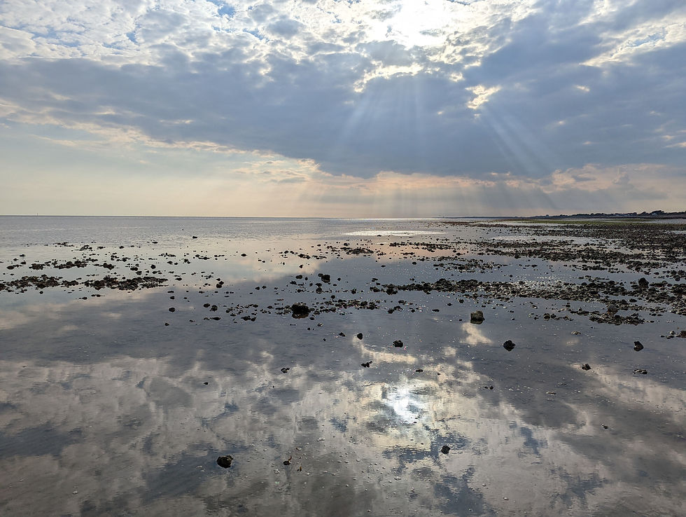 Ferring Beach by Kate Berry