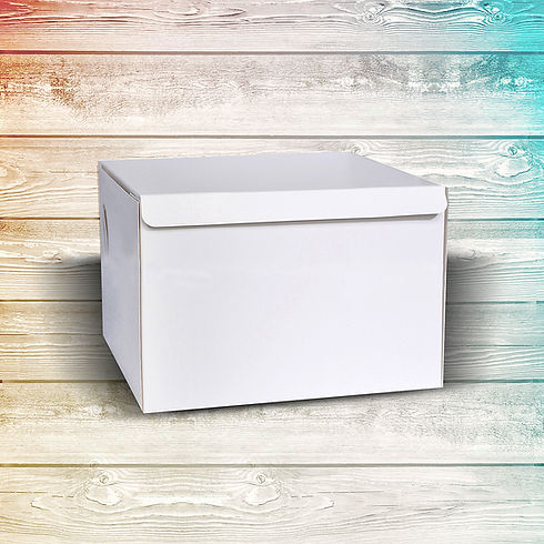 White-box-close-PROBA.jpg