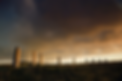645f97_8f03e95823e74ca9b8dc82724cf98a65~mv2.png