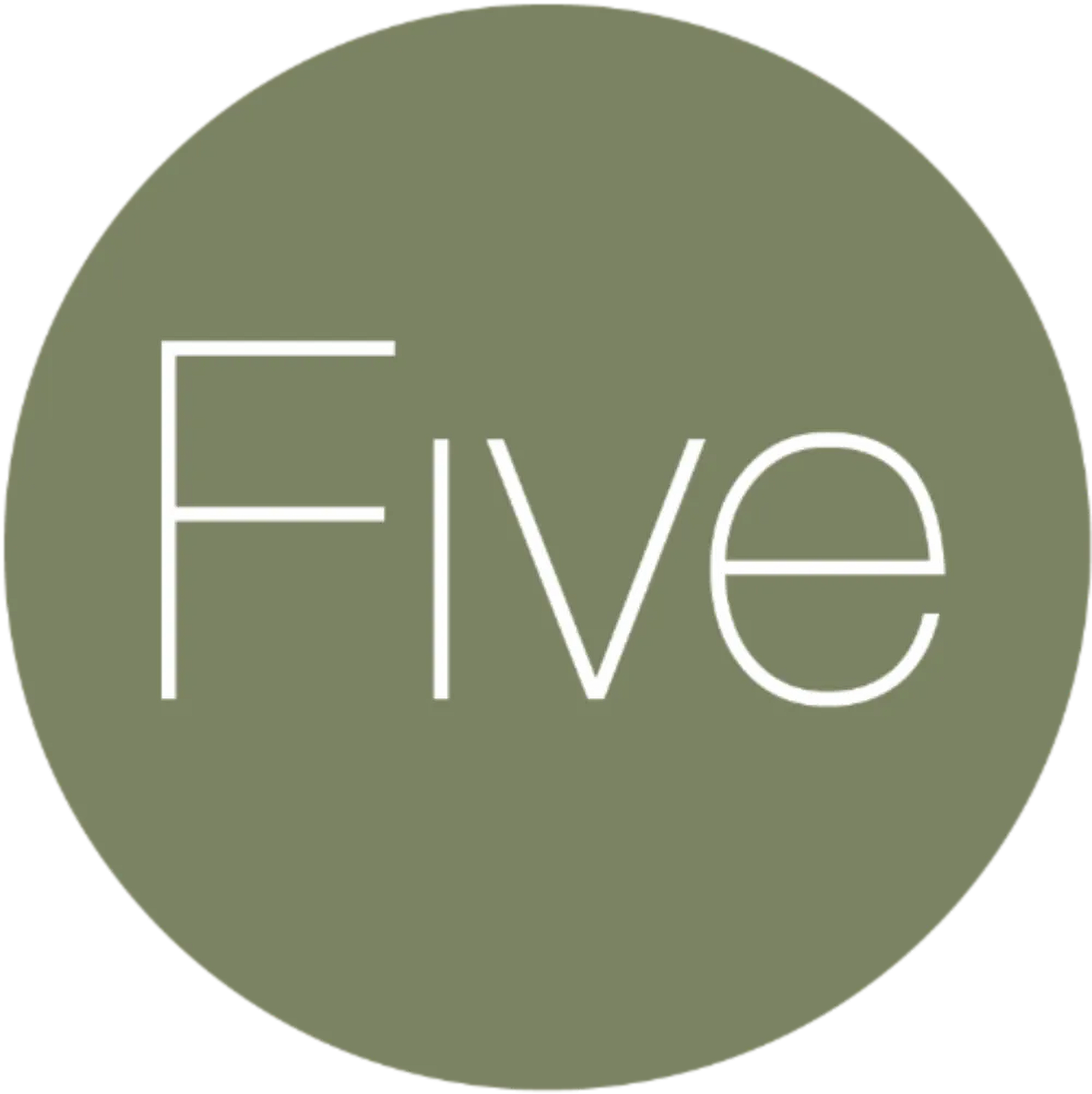 FIVE SURVEYING LIMITED logo