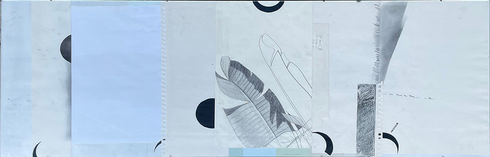 Palm Bit | 18”x50” | Graphite on paper | $400