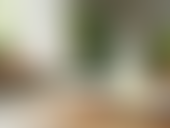 My Non-Toxic Starter Kit: 5 Affordable Products That Detoxified My Routine