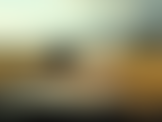 Unveiling the Wonders of Ngorongoro Crater Safari