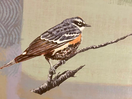 Anna Finch's work on display at the local Chamber of Commerce