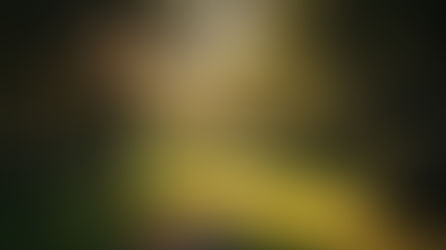 Your Ultimate Guide to Buying in The Woodlands, Texas in 2025