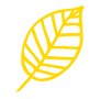 Botanical 29.png
