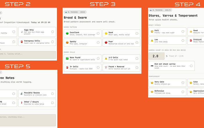 ProTop-App-Inspection-Steps.jpg