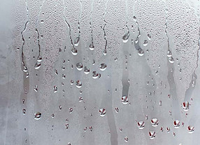Condensation Bee Hive.jpg