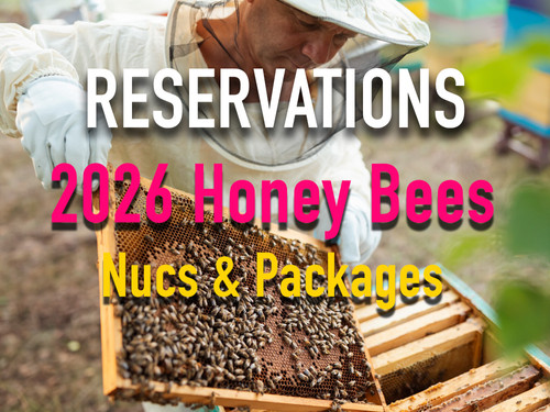 2026 Bee Order Reservation | Kinni Bees