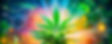 cannabinoids-what-they-do.jpg