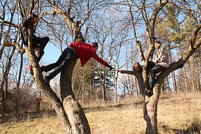 tree touch.jpeg